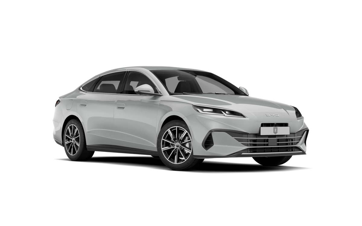 Seal 6 Saloon
